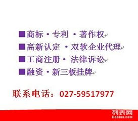 探析天江專利商標(biāo)軟件著作權(quán)與版權(quán)代理服務(wù)的專業(yè)路徑